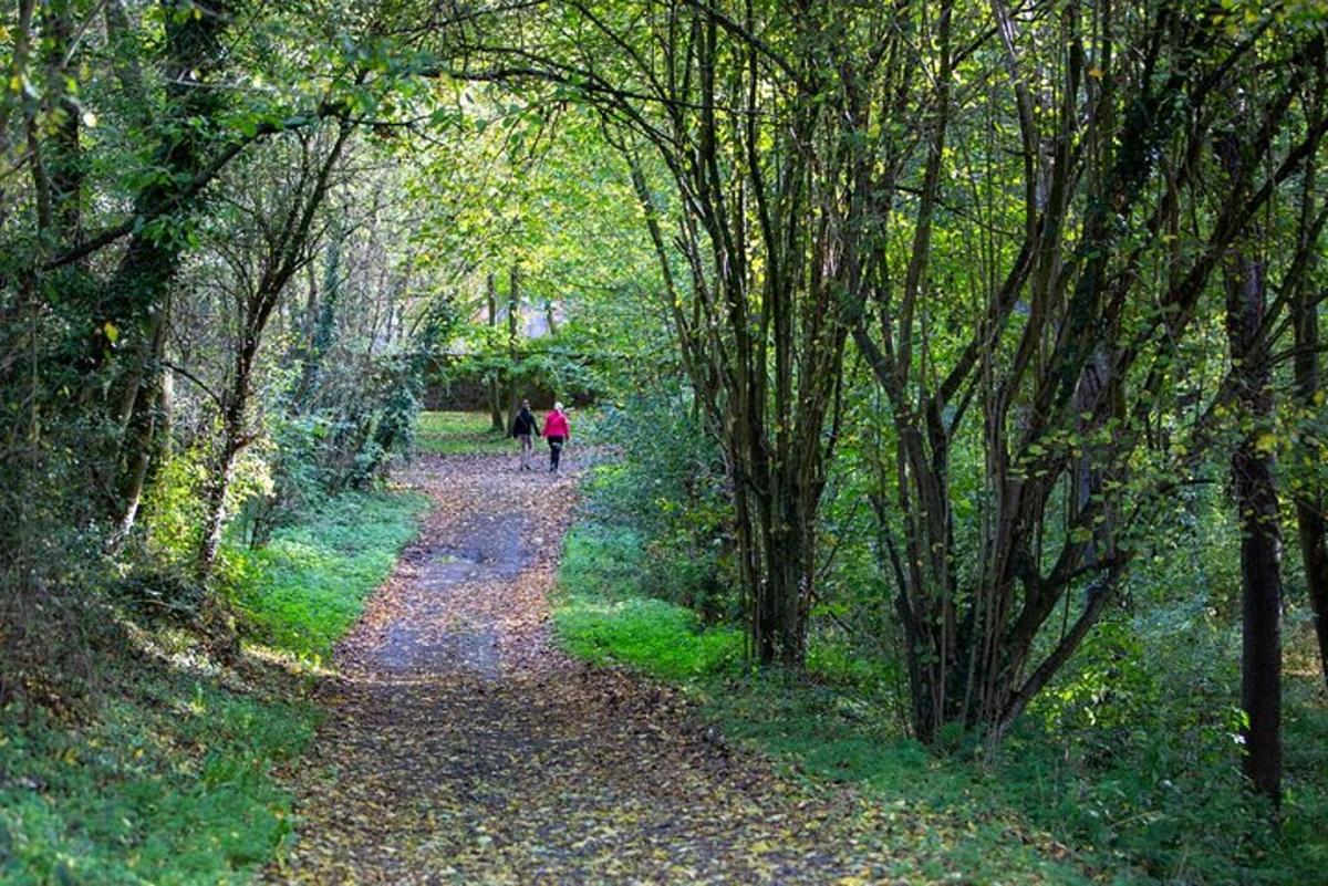 doi oameni mergând pe o cărare în pădure