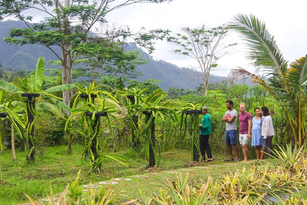 sekumpulan orang yang berdiri di dalam hutan