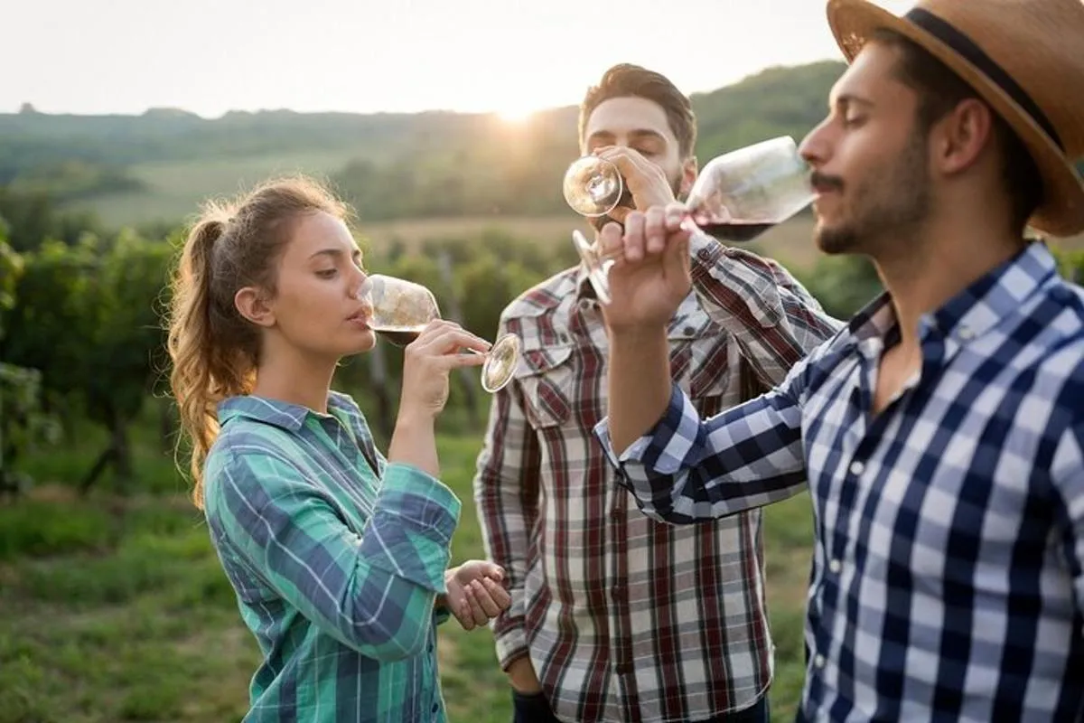 Veni vidi vino - la randonnée viticole de Fribourg – photo 1