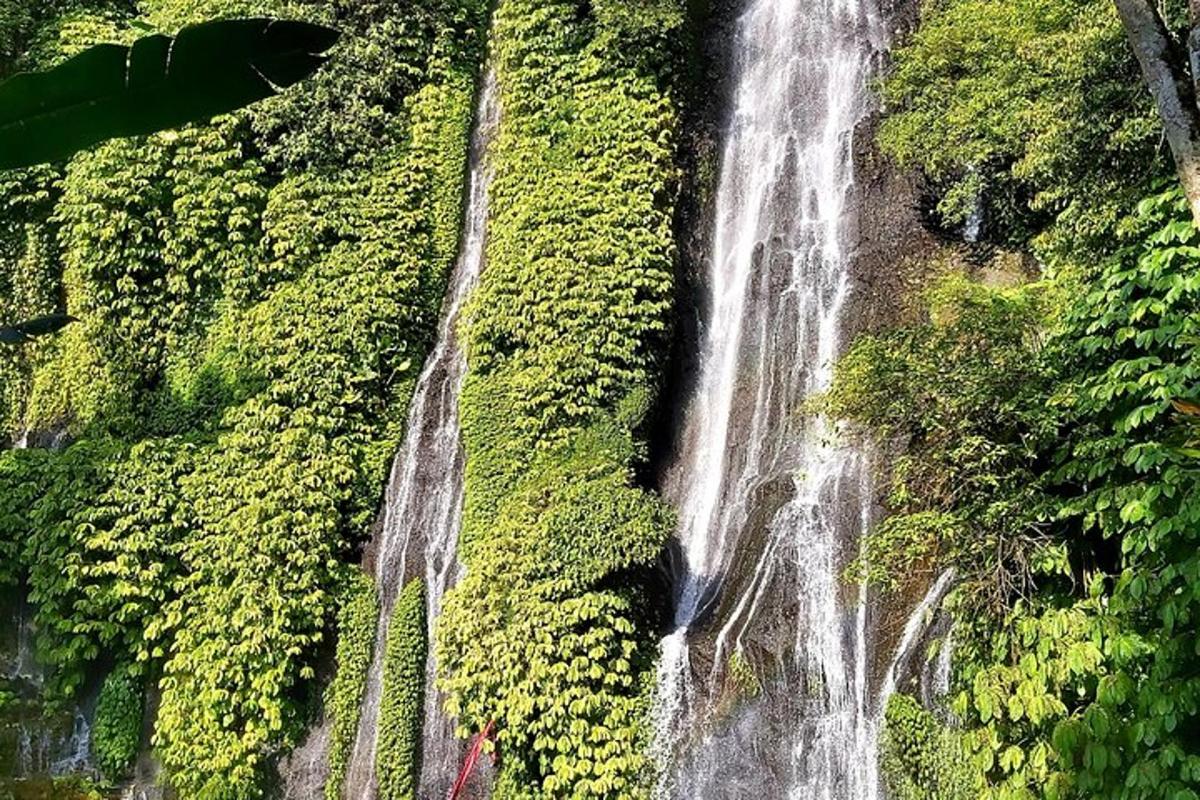 persone in piedi davanti a una cascata nella foresta
