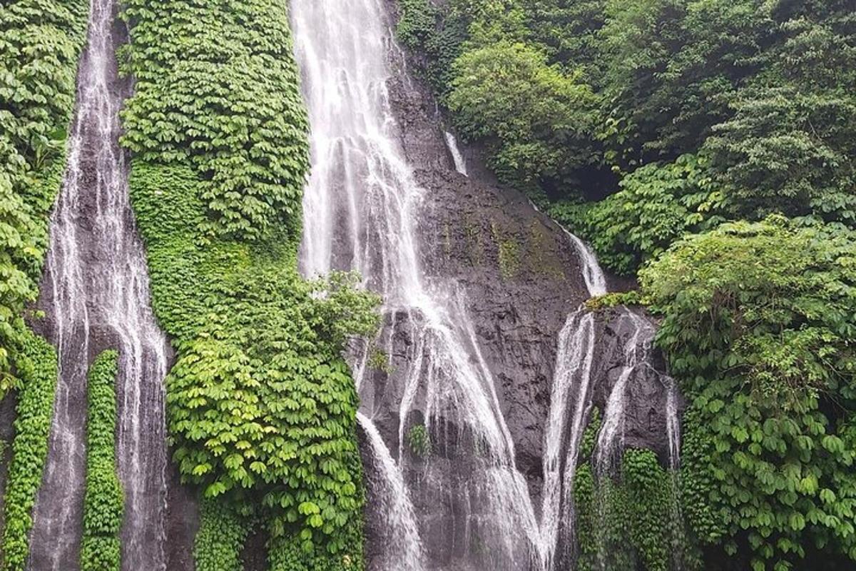 una cascata sul fianco di una collina con alberi