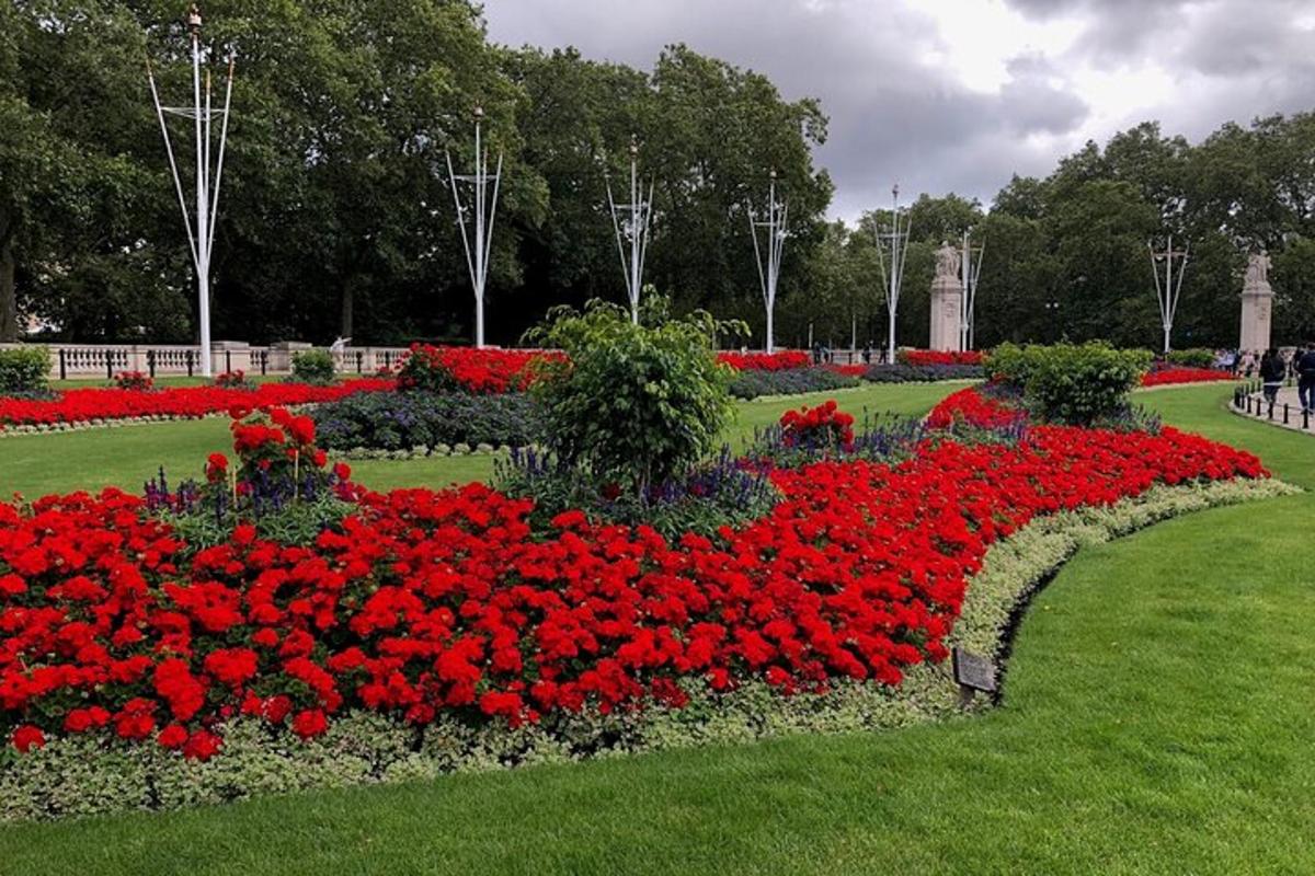a garden with red flowers in a park