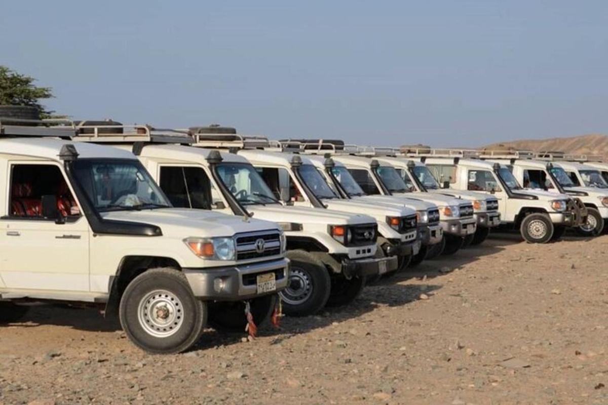 a row of white trucks parked in the desert