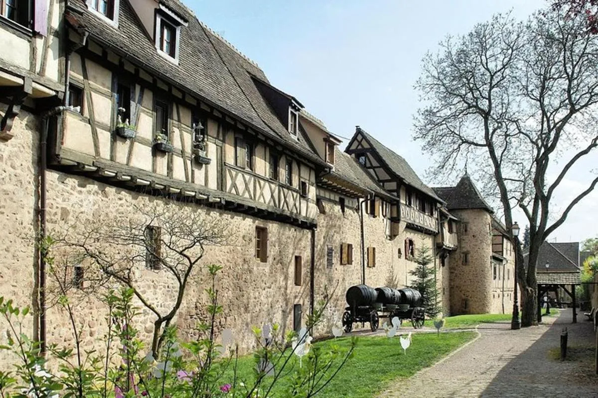 Colmar : excursion privée aux marchés de Noël avec chauffeur, 8 h – photo 7