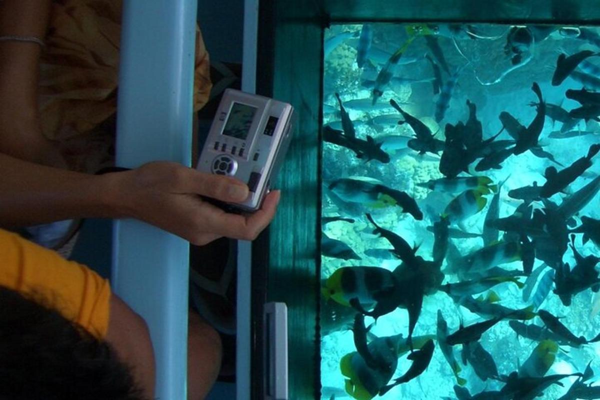 una persona que sosté un telèfon mòbil davant d'un aquari