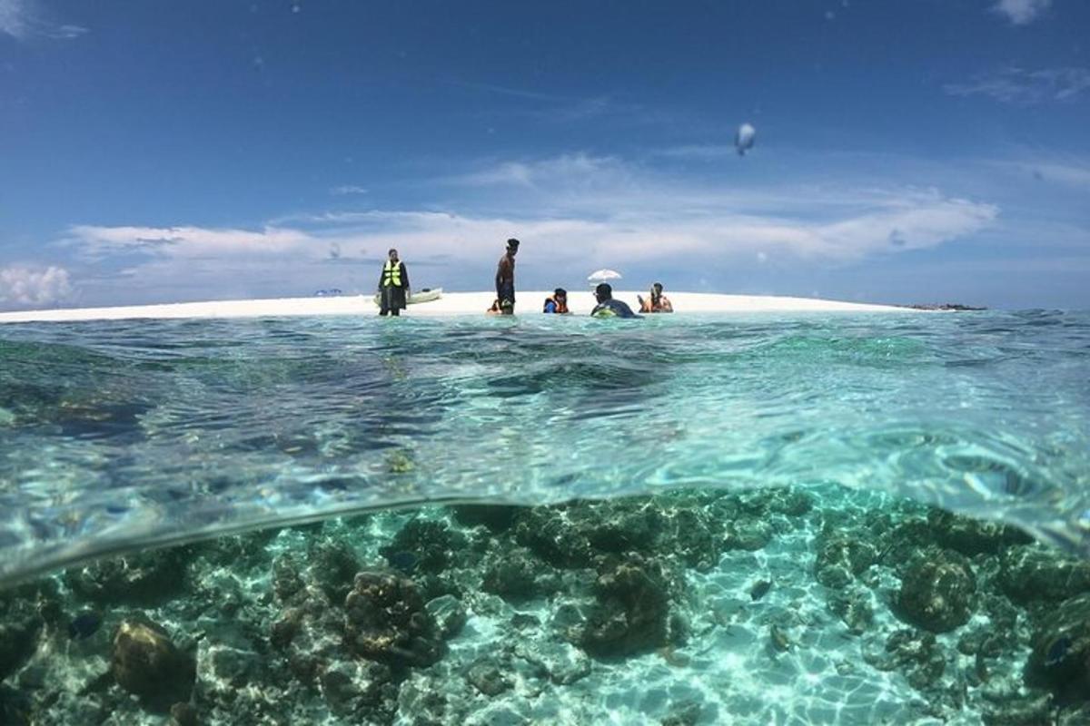 a group of people standing on a beach in the ocean