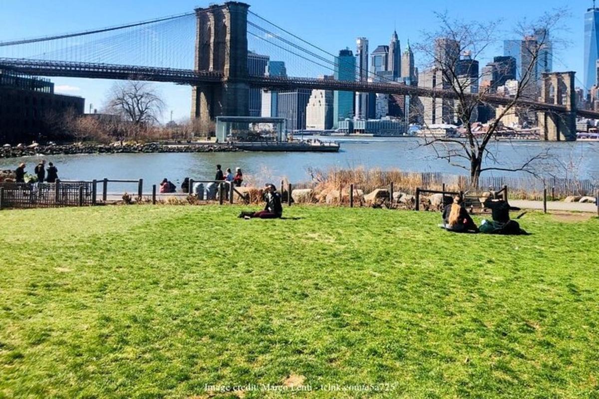 Gente sentada en el césped de un parque con un puente.