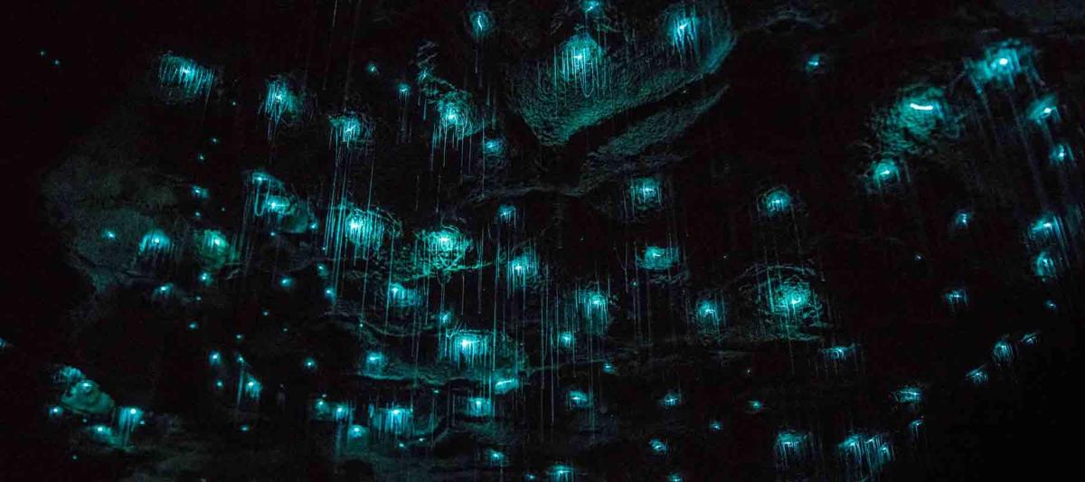 a bunch of green lights in the dark