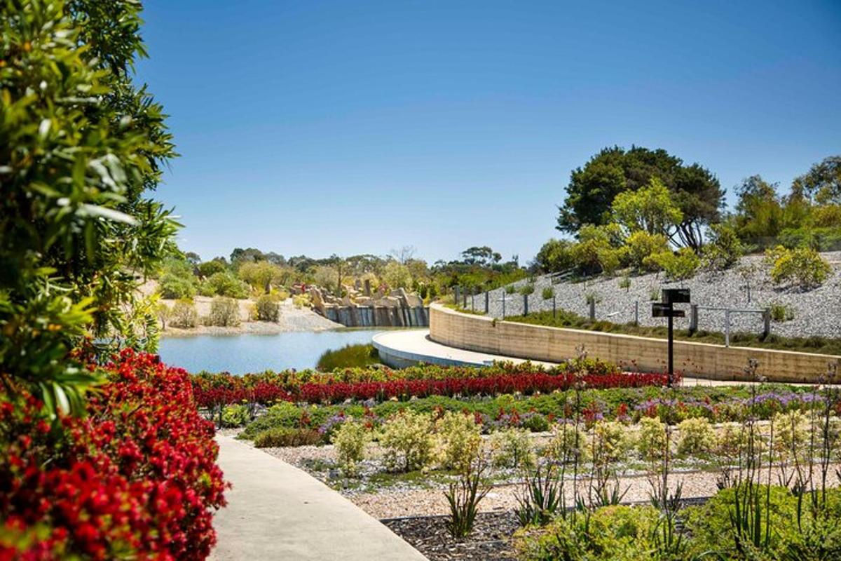 a garden with flowers and a body of water
