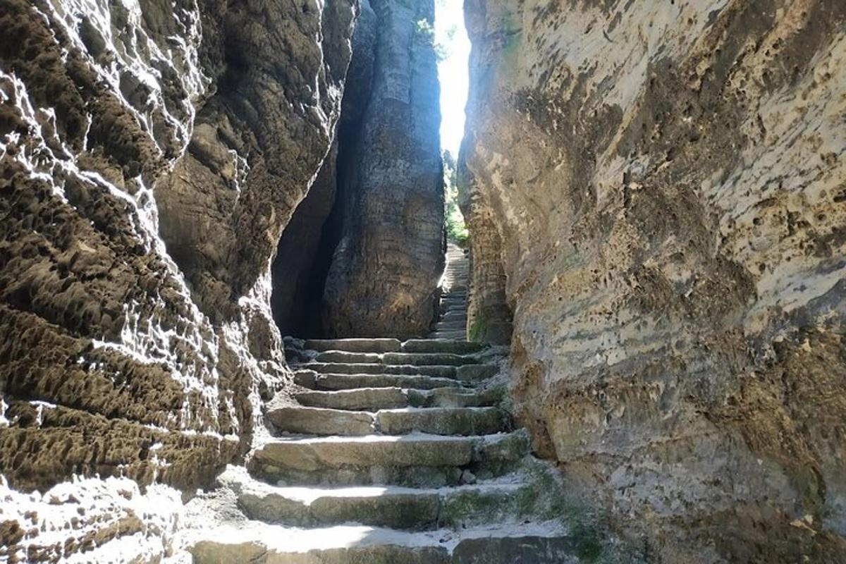 o scară de piatră într-un munte cu un copac