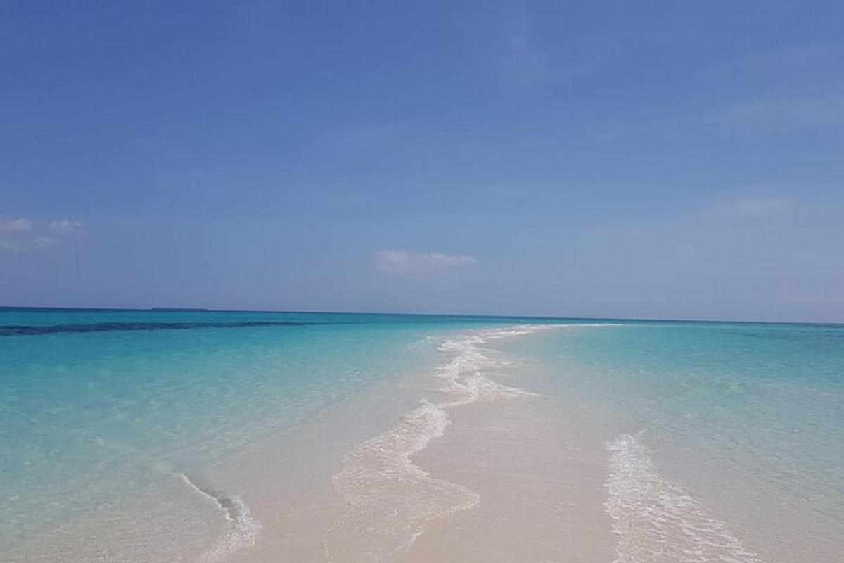 una spiaggia con l'oceano e l'acqua blu