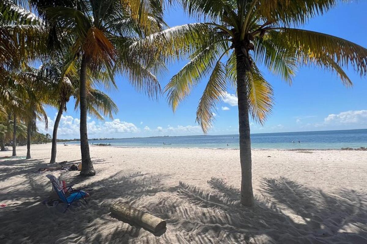 ein Strand mit Palmen und einem Stuhl im Sand