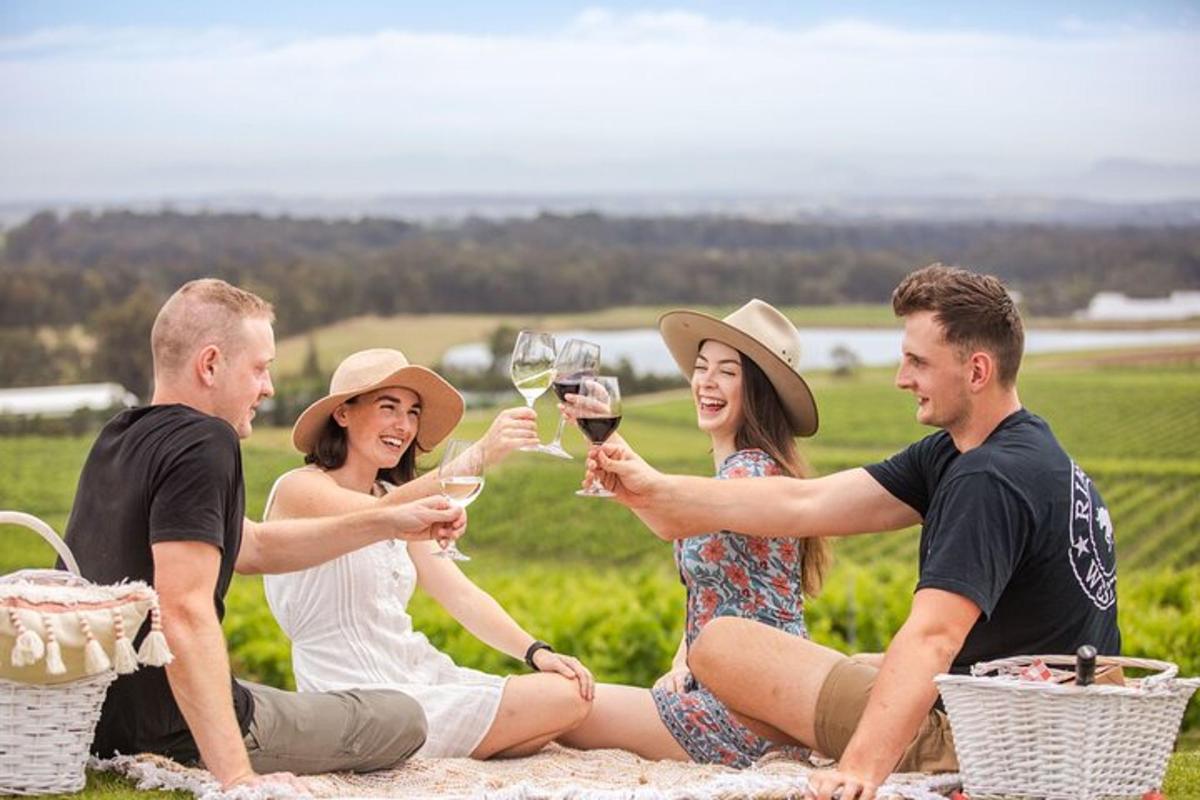a group of people sitting on a blanket drinking wine
