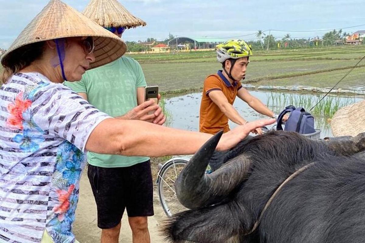 una donna accarezza un elefante con la proboscide