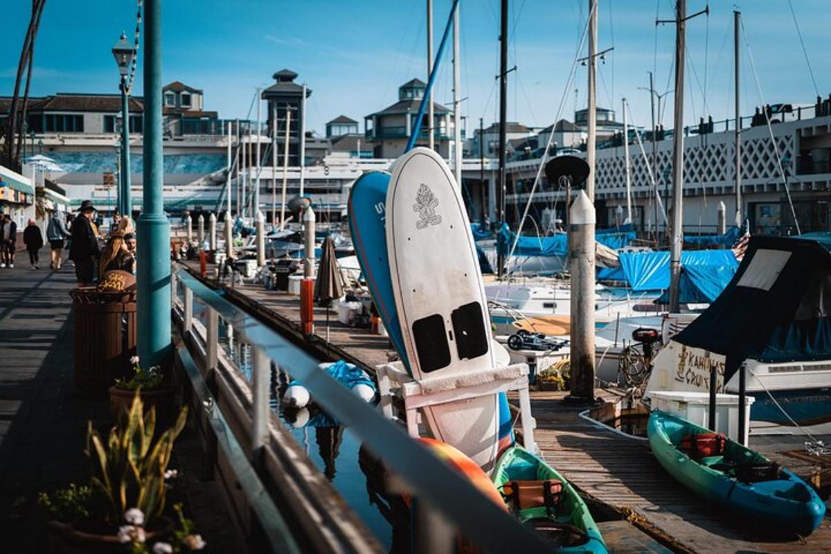 un grupo de barcos atracados en un puerto deportivo
