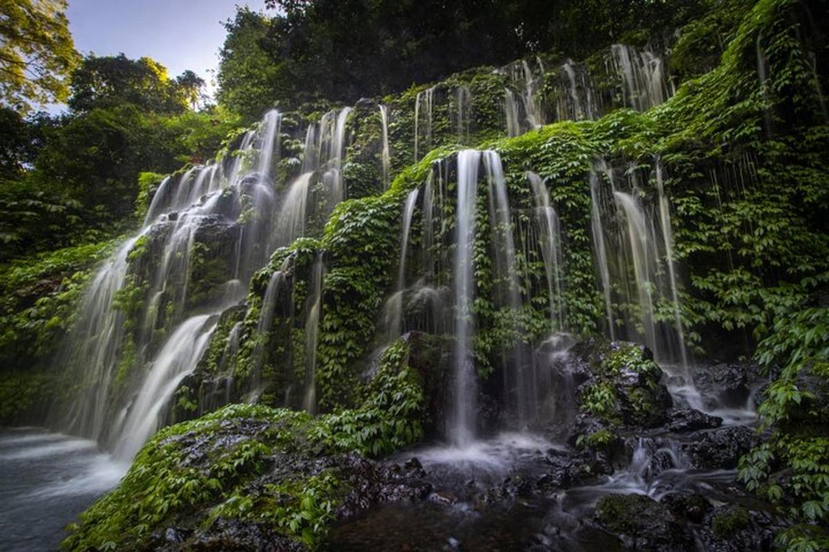 air terjun di dalam hutan dengan tumbuhan hijau