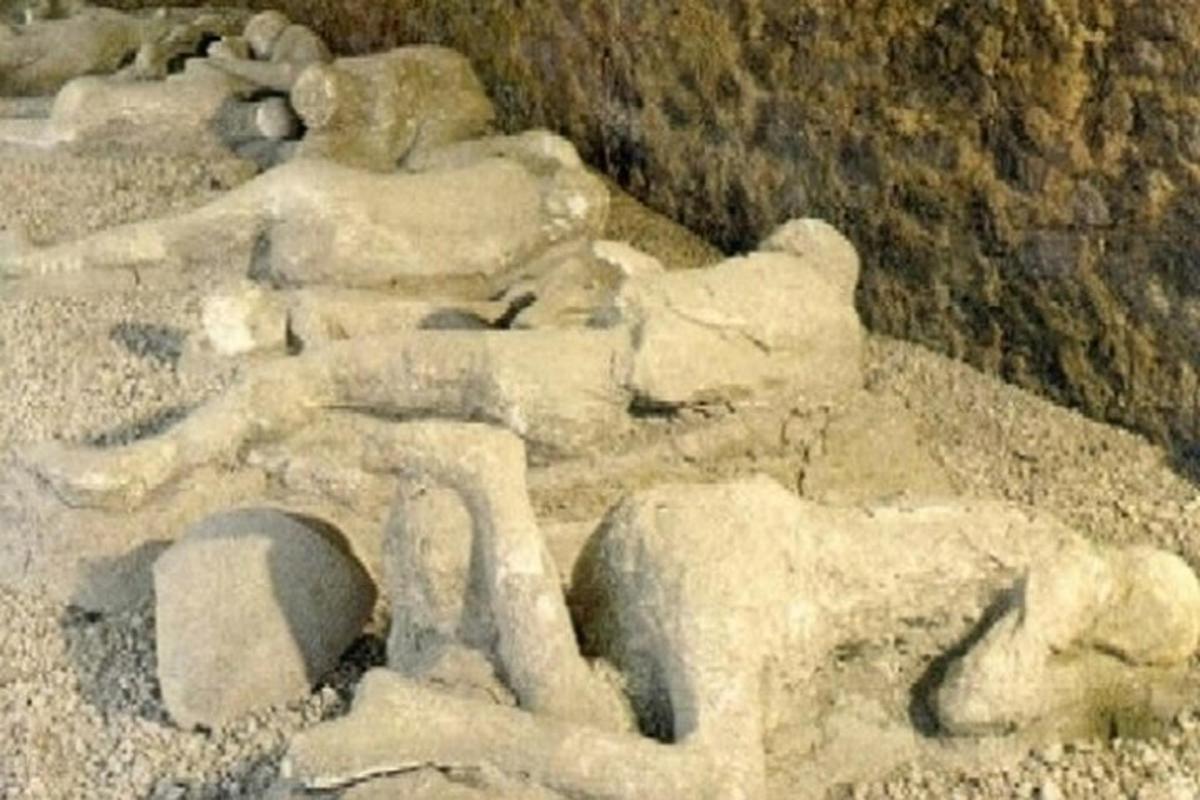 socha plyšového medvídka ležícího na skalách