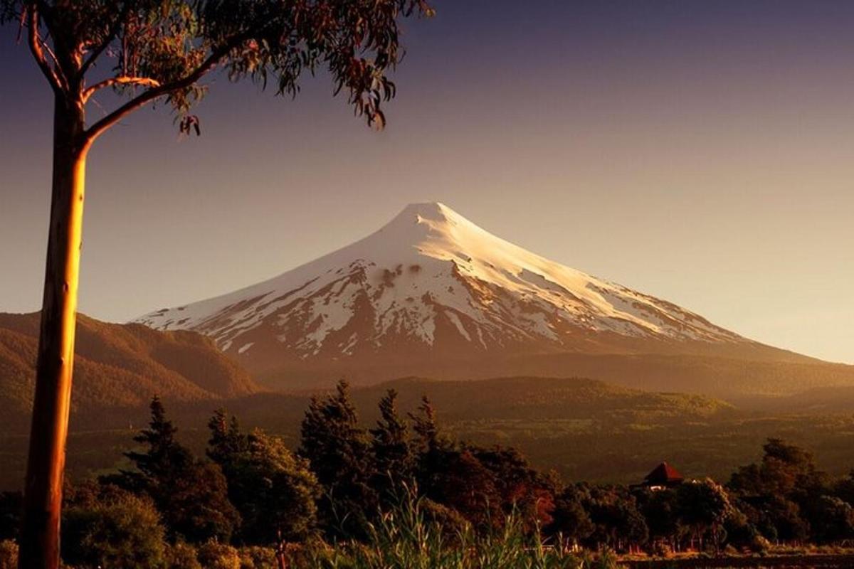 a snow covered mountain in the distance with a tree