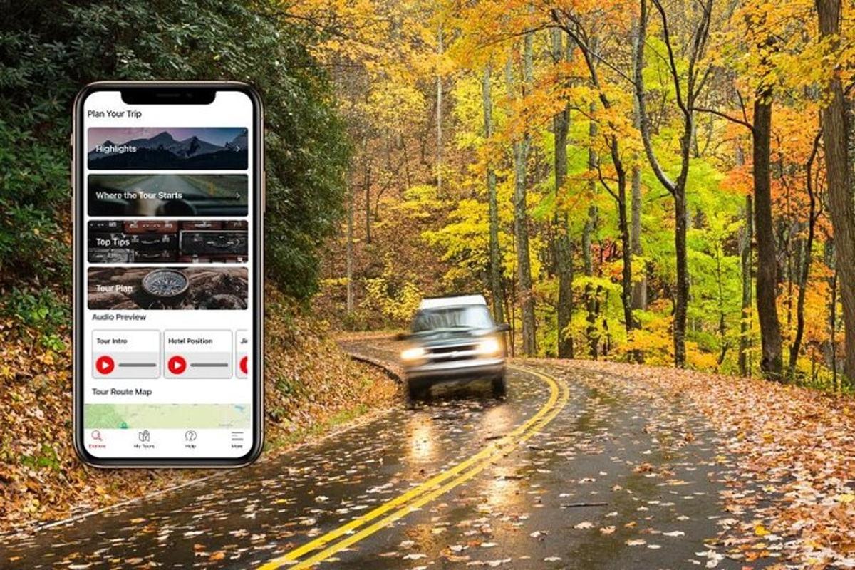 a cell phone screenshot of a car driving down a road