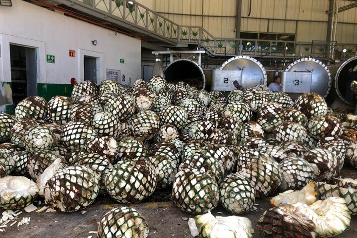 a large pile of pineapples sitting in a warehouse
