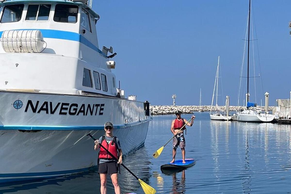due persone su tavole da paddle davanti a una barca