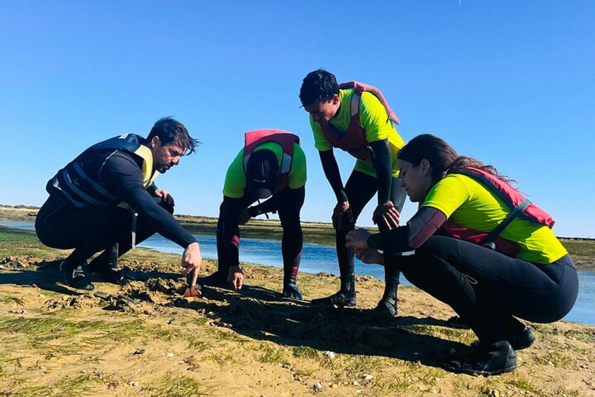 un gruppo di persone che piantano nella sabbia sulla spiaggia