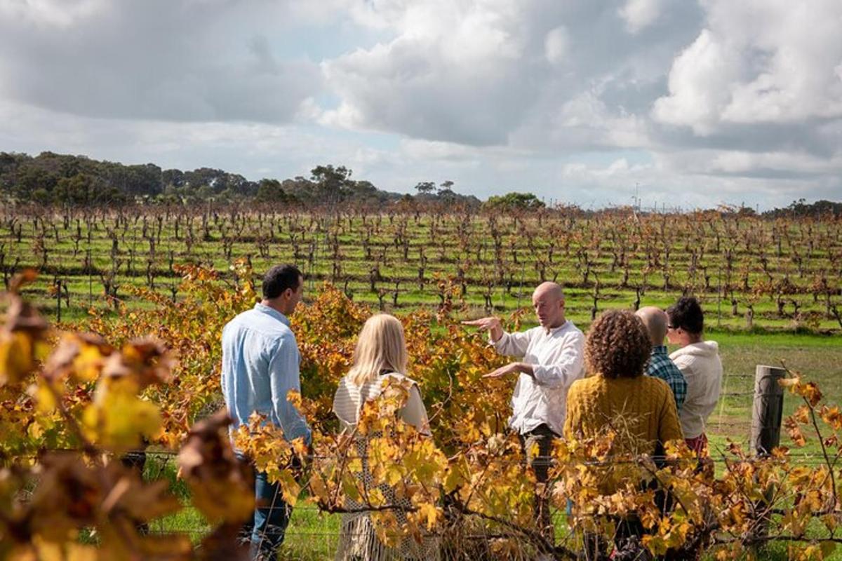a group of people standing around in a vineyard