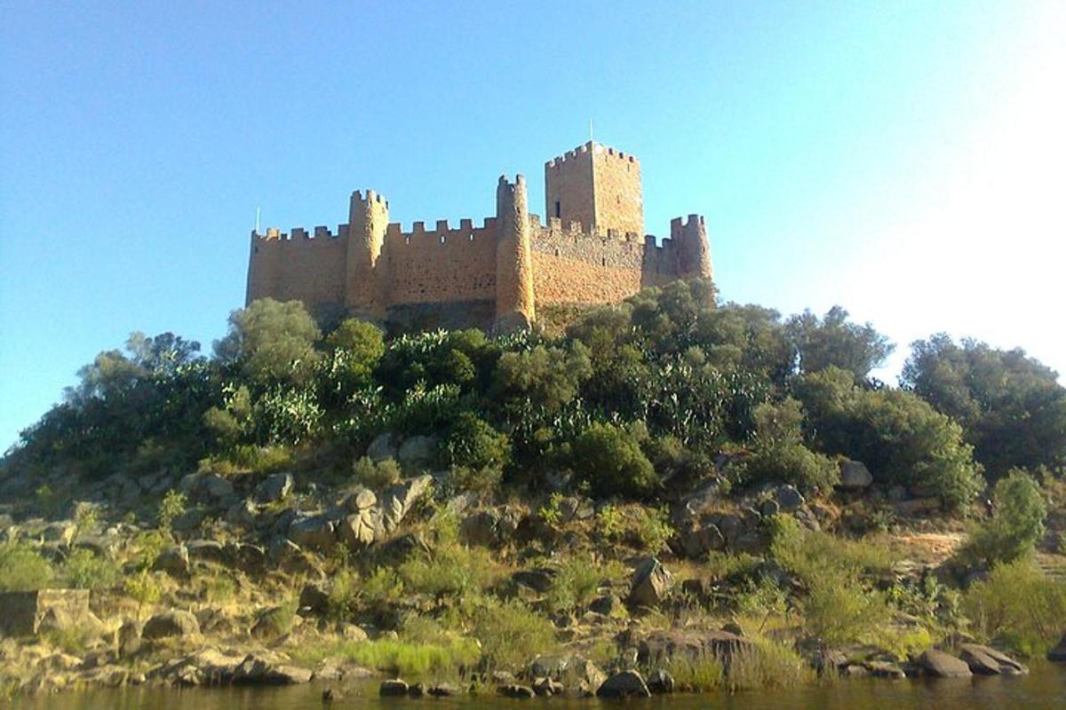 hrad na vrchole kopca so stromami