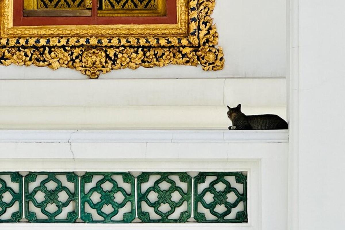 en svart katt som sitter på toppen av en peis