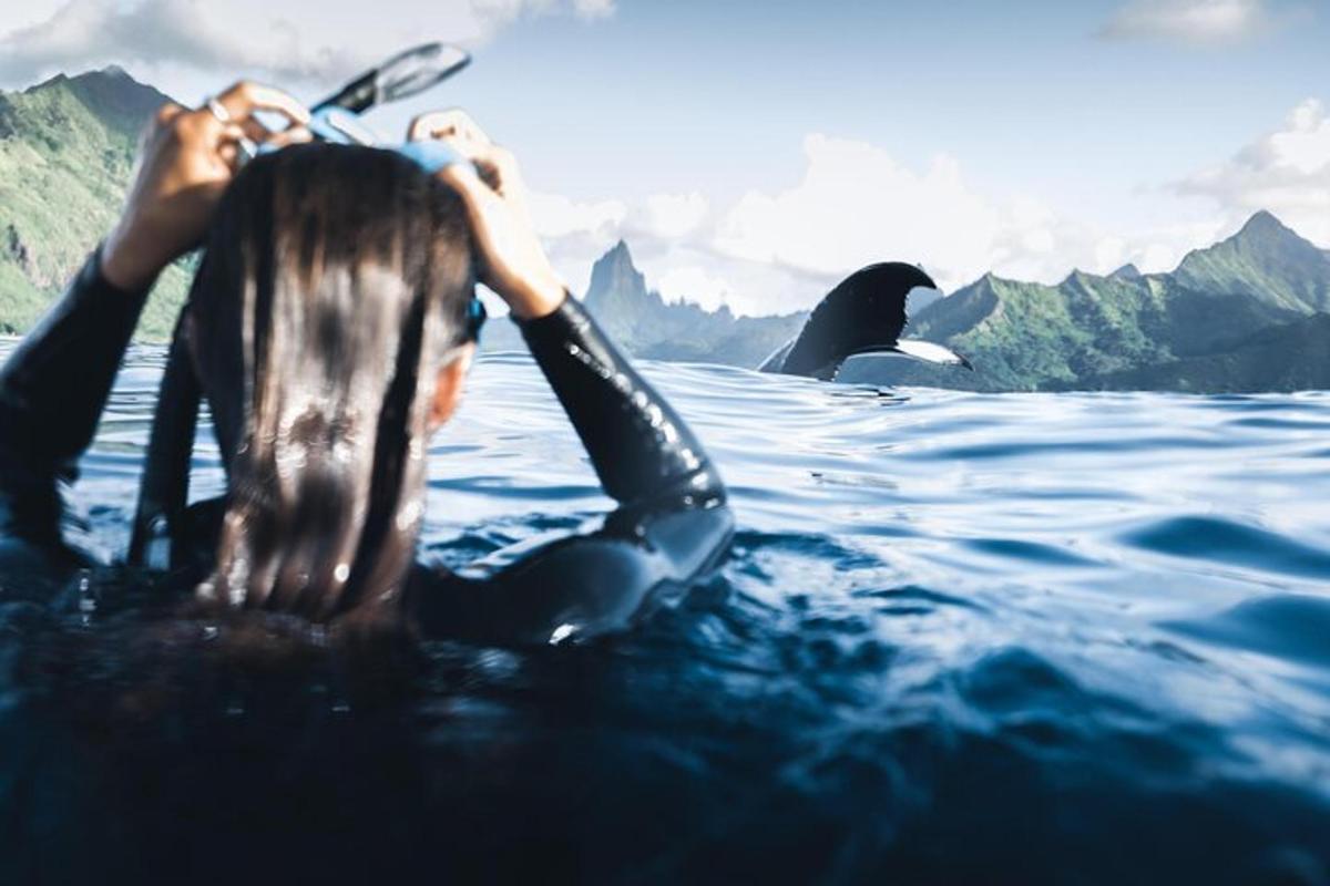 a woman in the water with a whale in the background