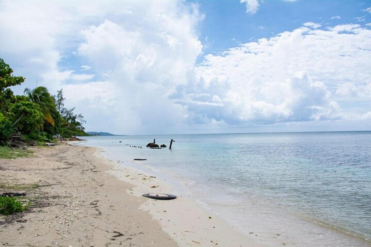 una playa con un grupo de personas en el agua