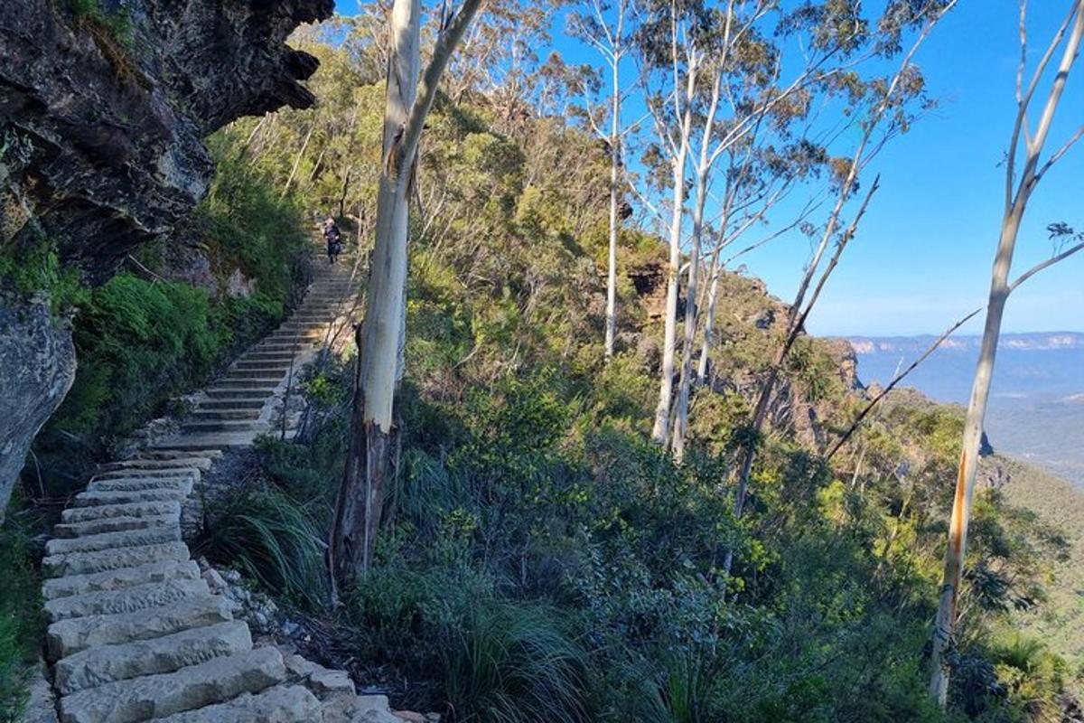 Un conjunto de escaleras de piedra en una colina con árboles.