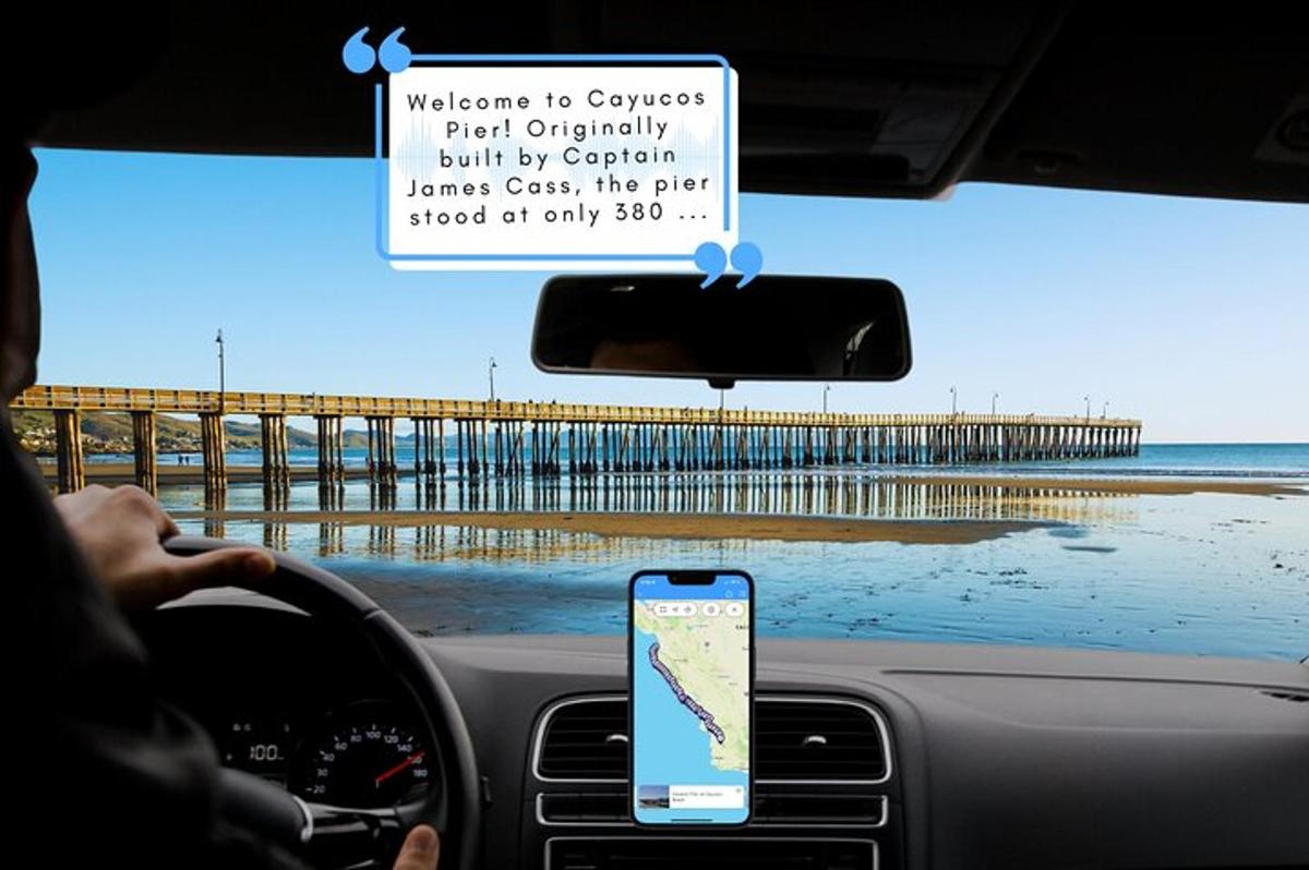 a person driving a car near a pier with a cell phone