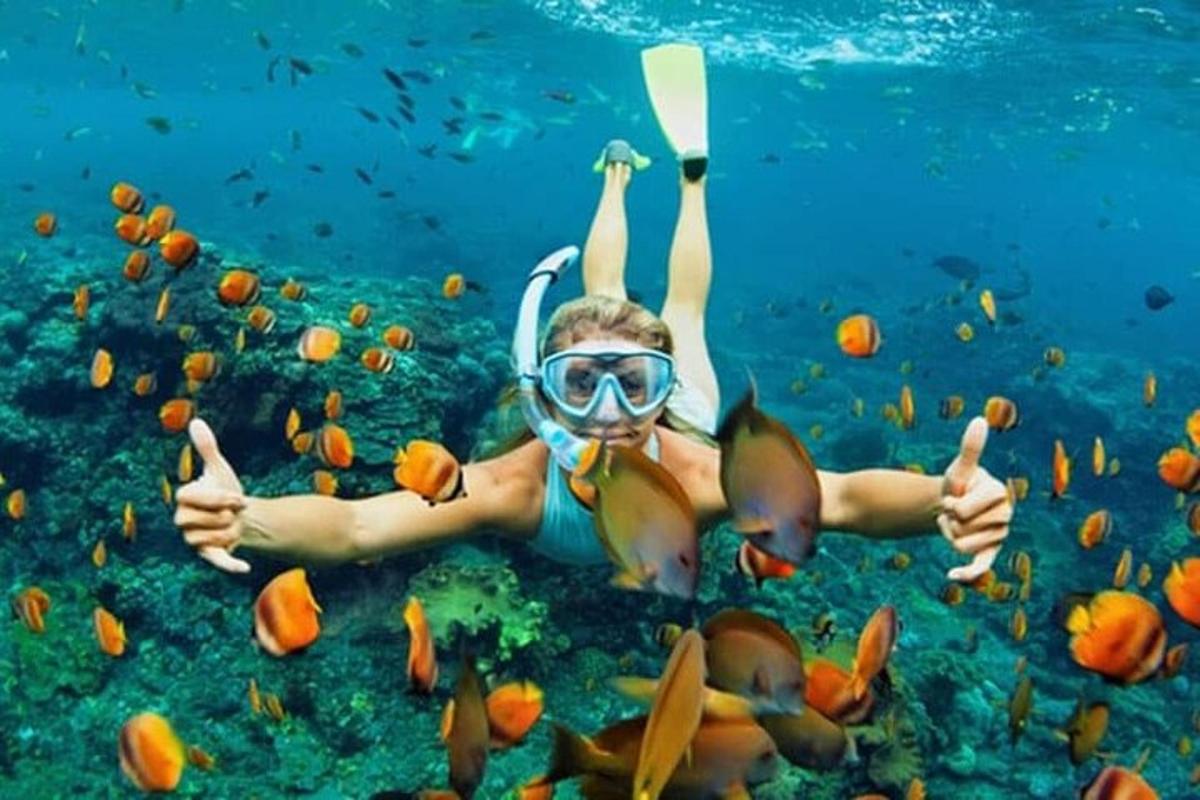 Maður í snorkli og grímu syndir í vatni með fiskum
