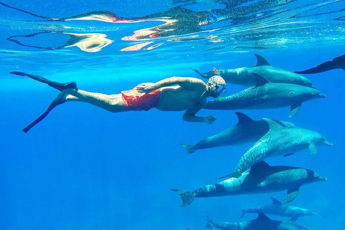 una persona che nuota nell'acqua con un gruppo di delfini