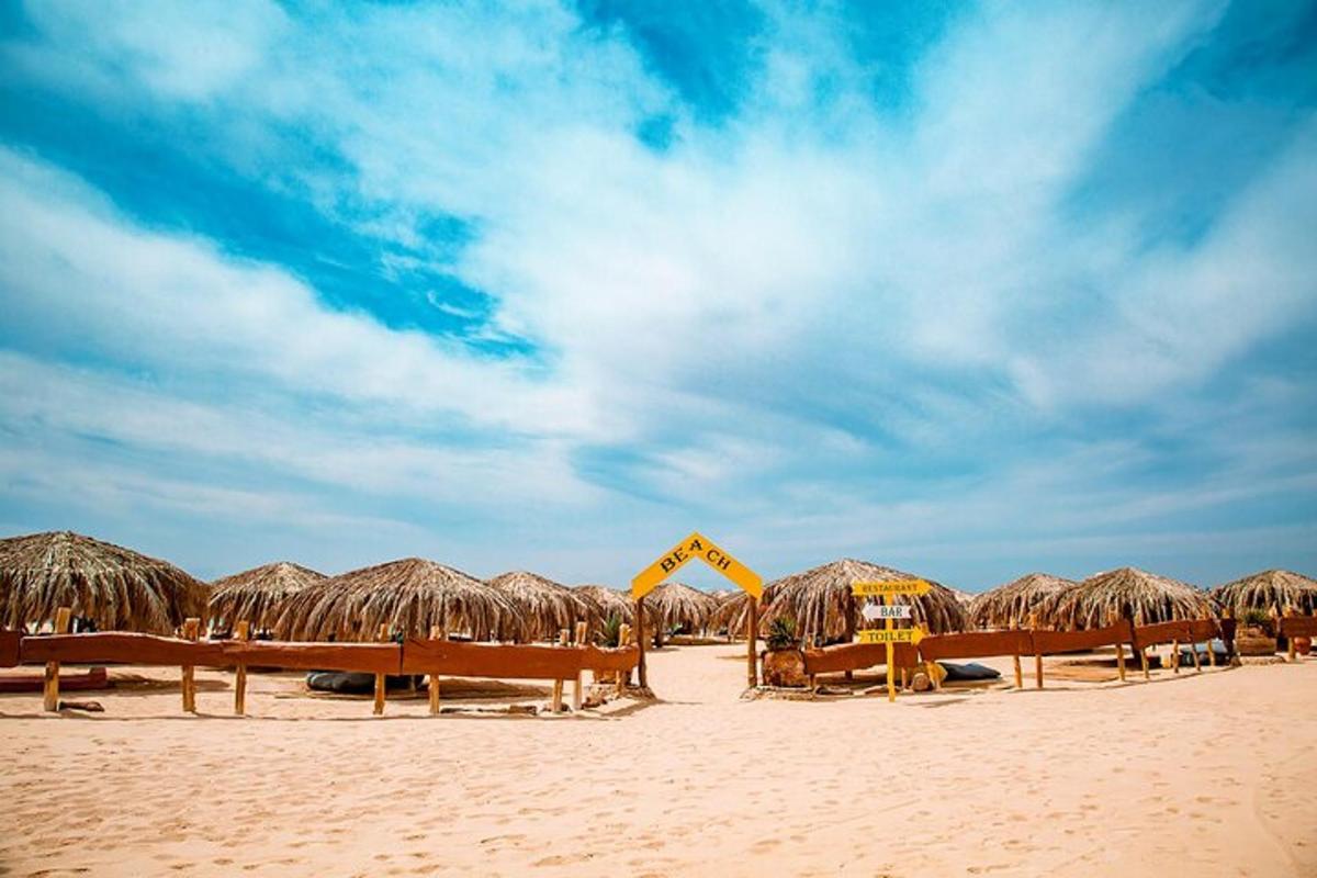 a group of straw umbrellas and chairs on a beach
