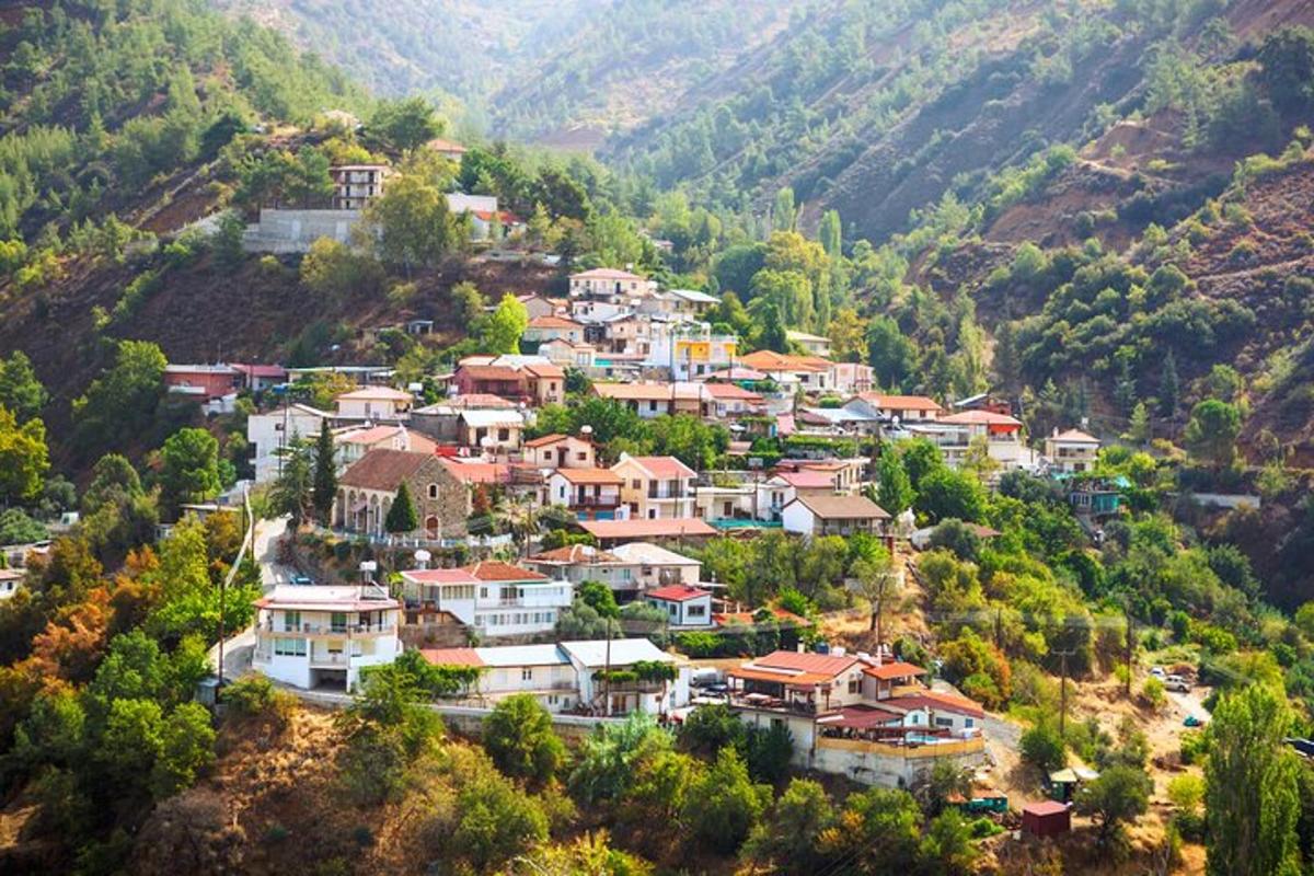 a village on a hill with houses on it