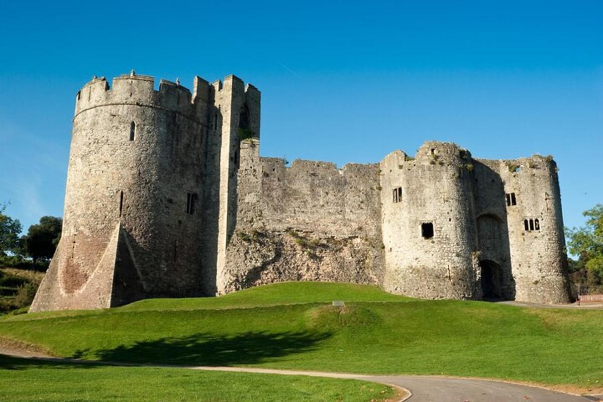 um castelo situado no topo de um campo verdejante