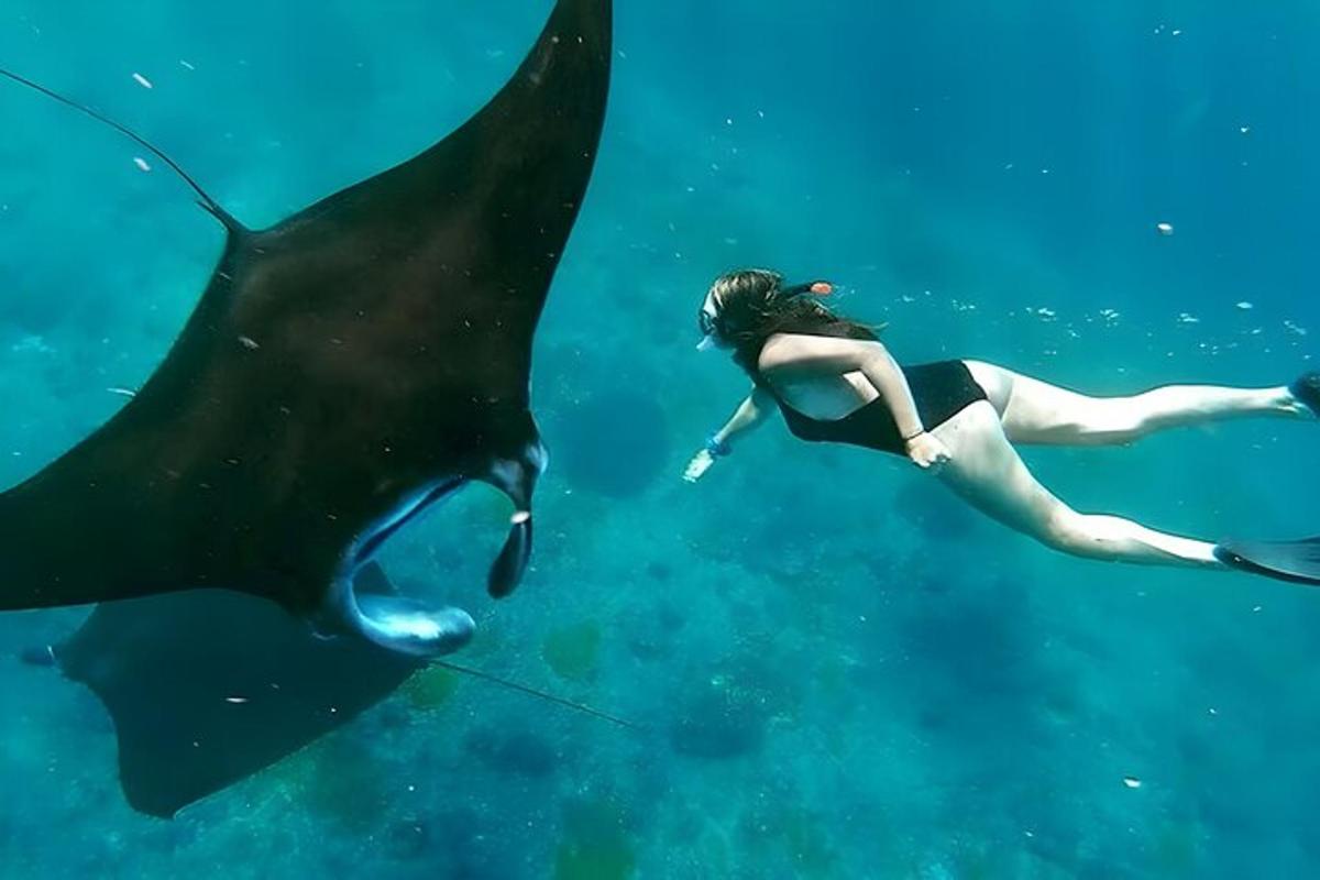 a woman swimming next to a whale shark in the ocean