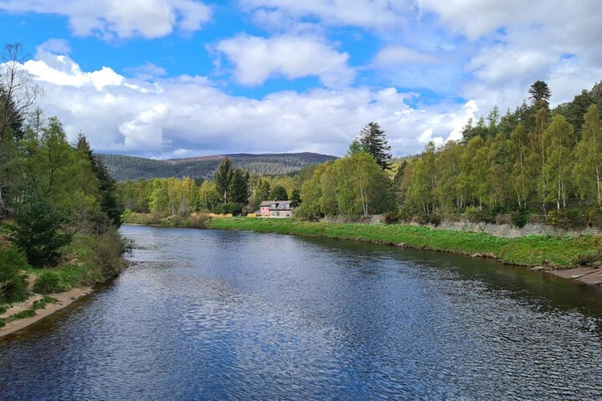 a river with trees on the side of it