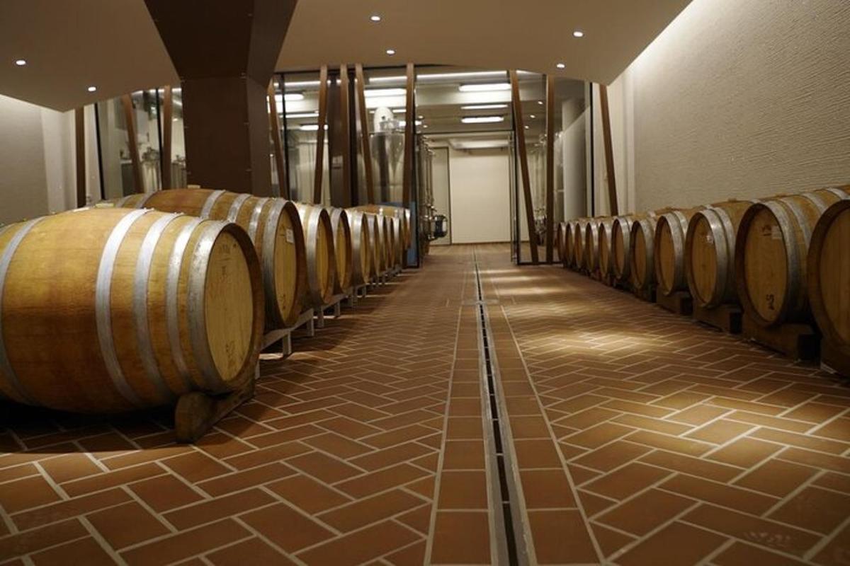 una filera de bótes de vi en un celler