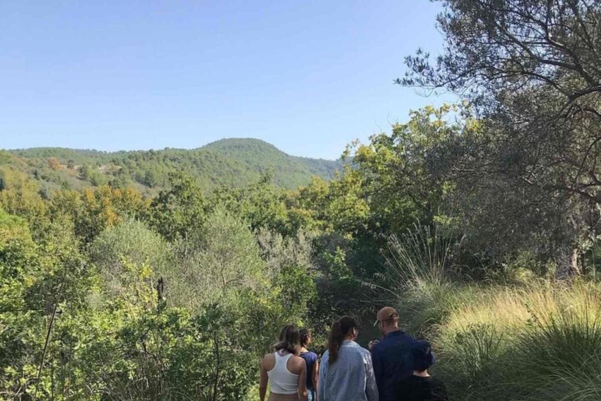 ormanda bir patikada yürüyen bir grup insan