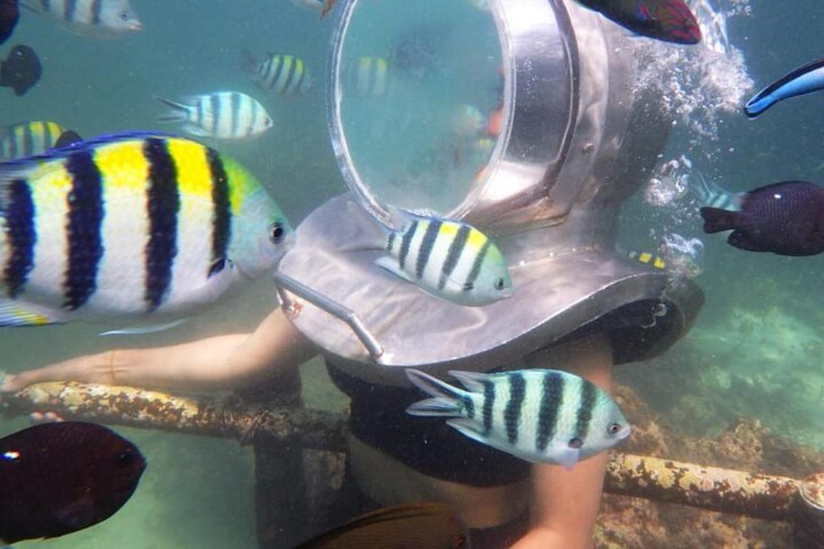 a person in the water with a diver and some fish