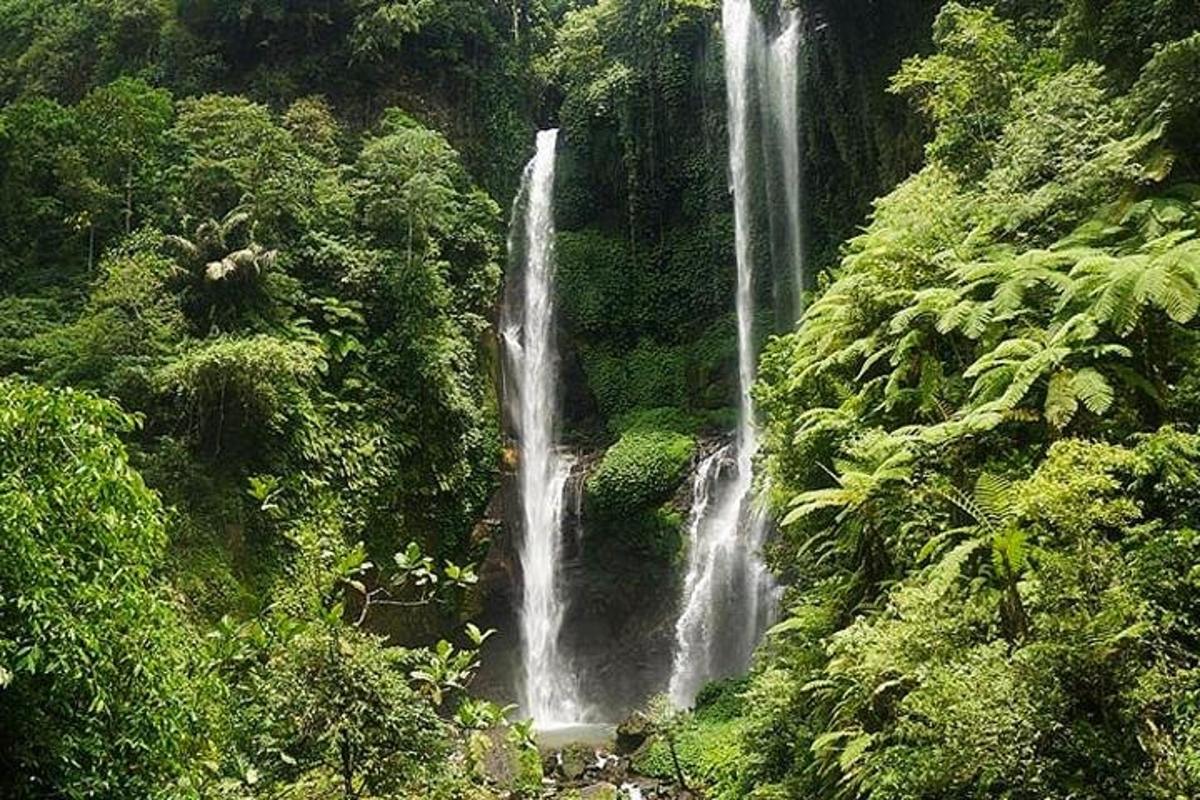 een waterval midden in een bos