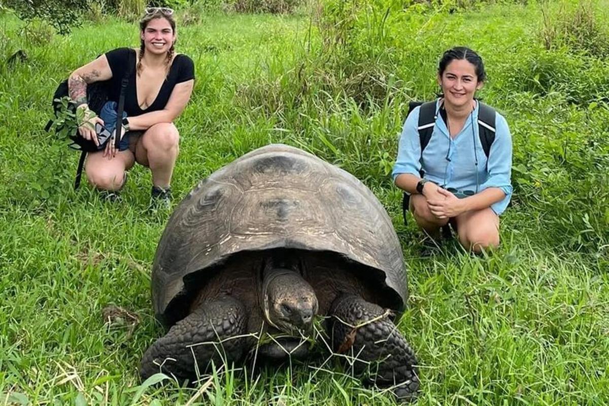 two people kneeling next to a turtle in the grass