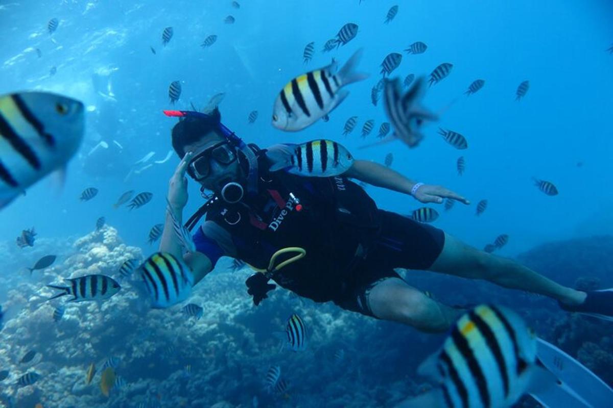 a person swimming in the ocean looking at fish