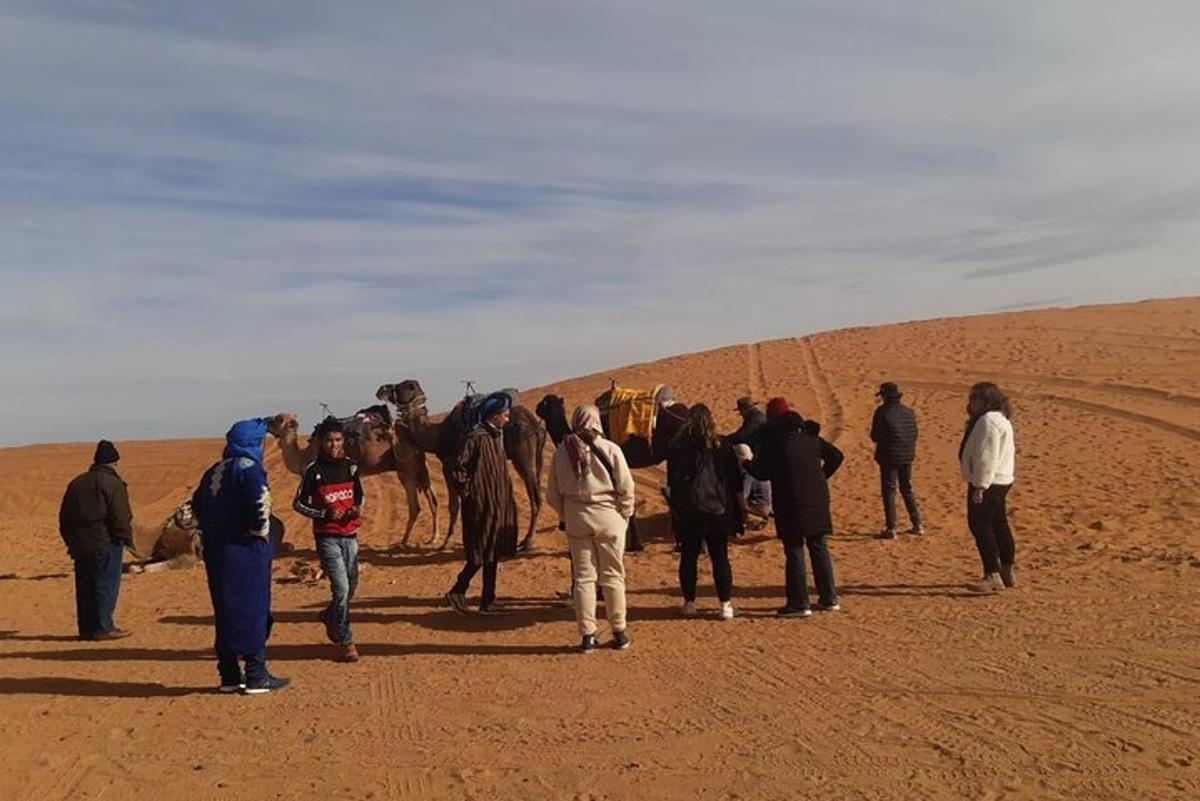 a group of people standing in the desert with a camel