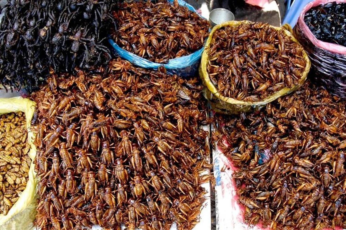a pile of insects on display at a market