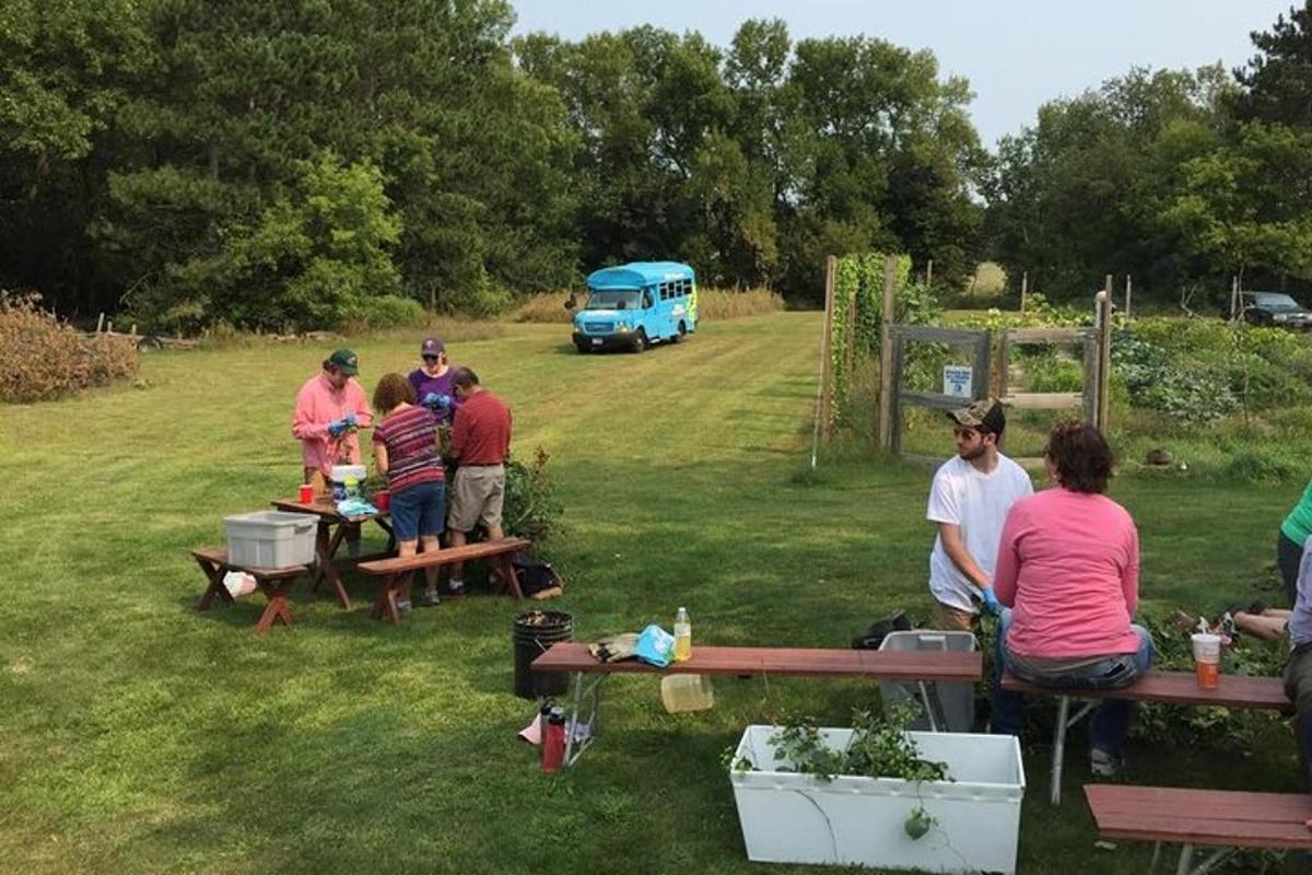 a group of people standing around a picnic table in the grass