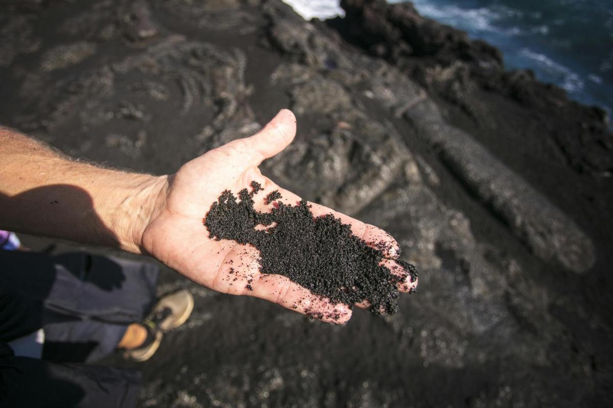 a person holding a hand full of dirt